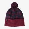 Patagonia Powder Town Beanie