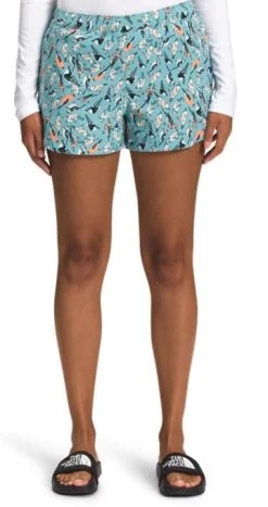 The North Face Women's Class V Short - SHORT